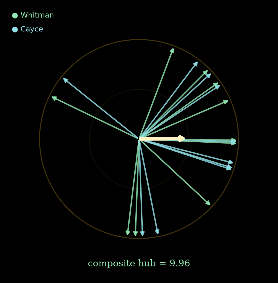 Whitman-Cayce composite phasor rose — twenty wave-arrows
